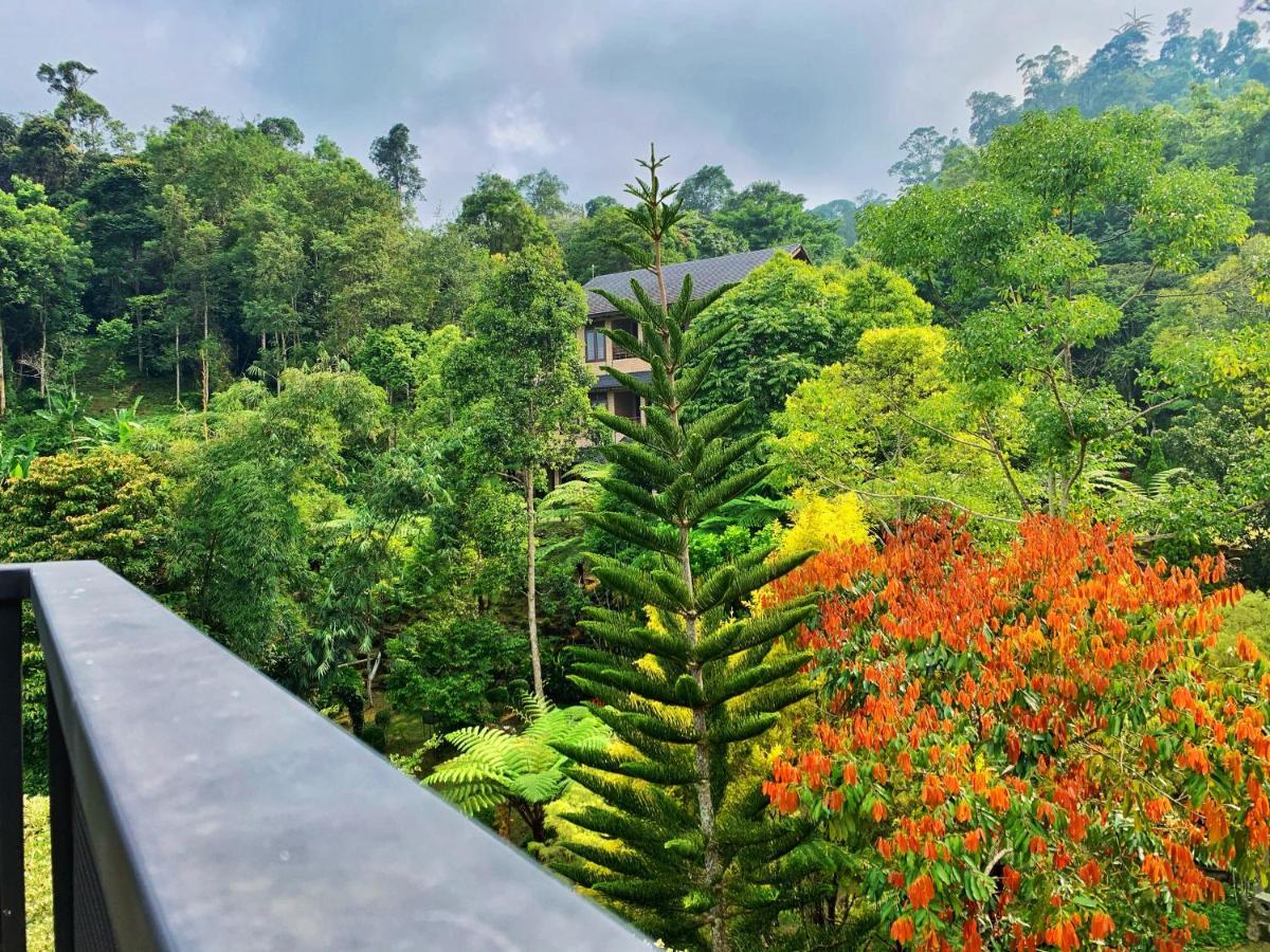 Harmony Valley Retreat Bukittinggi Exterior foto