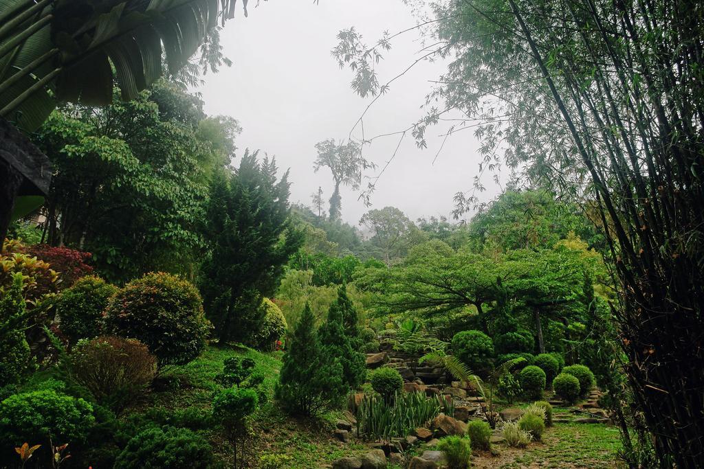Harmony Valley Retreat Bukittinggi Exterior foto