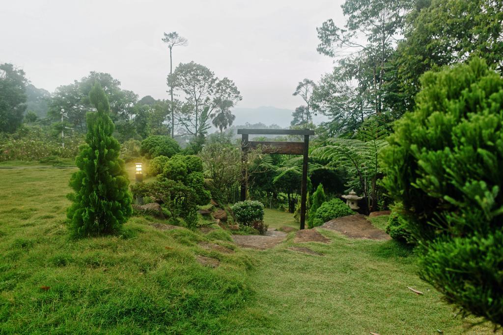 Harmony Valley Retreat Bukittinggi Exterior foto